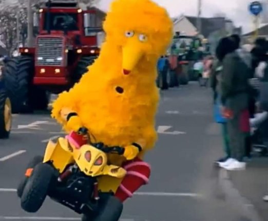 I sometimes get asked who best represents the spirit of Ireland these days. Is it the President? A musician like Hozier or CMAT? Paul McGrath? Good guesses but no. It is of course the Wheelie Big Bird from the parade in the town of Rush. Happy St Patrick's Day ya mad bastard