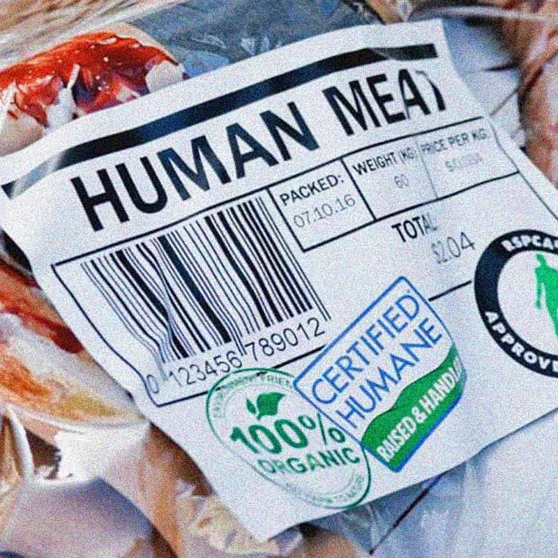 Burning The Evidence? The Meat Stew In America alone there were over 100 meat processing facilities burned down between 2020-2022. There are also stories from around the country of customers at fast food chains finding human teeth & fingers in their food. These restaurants…