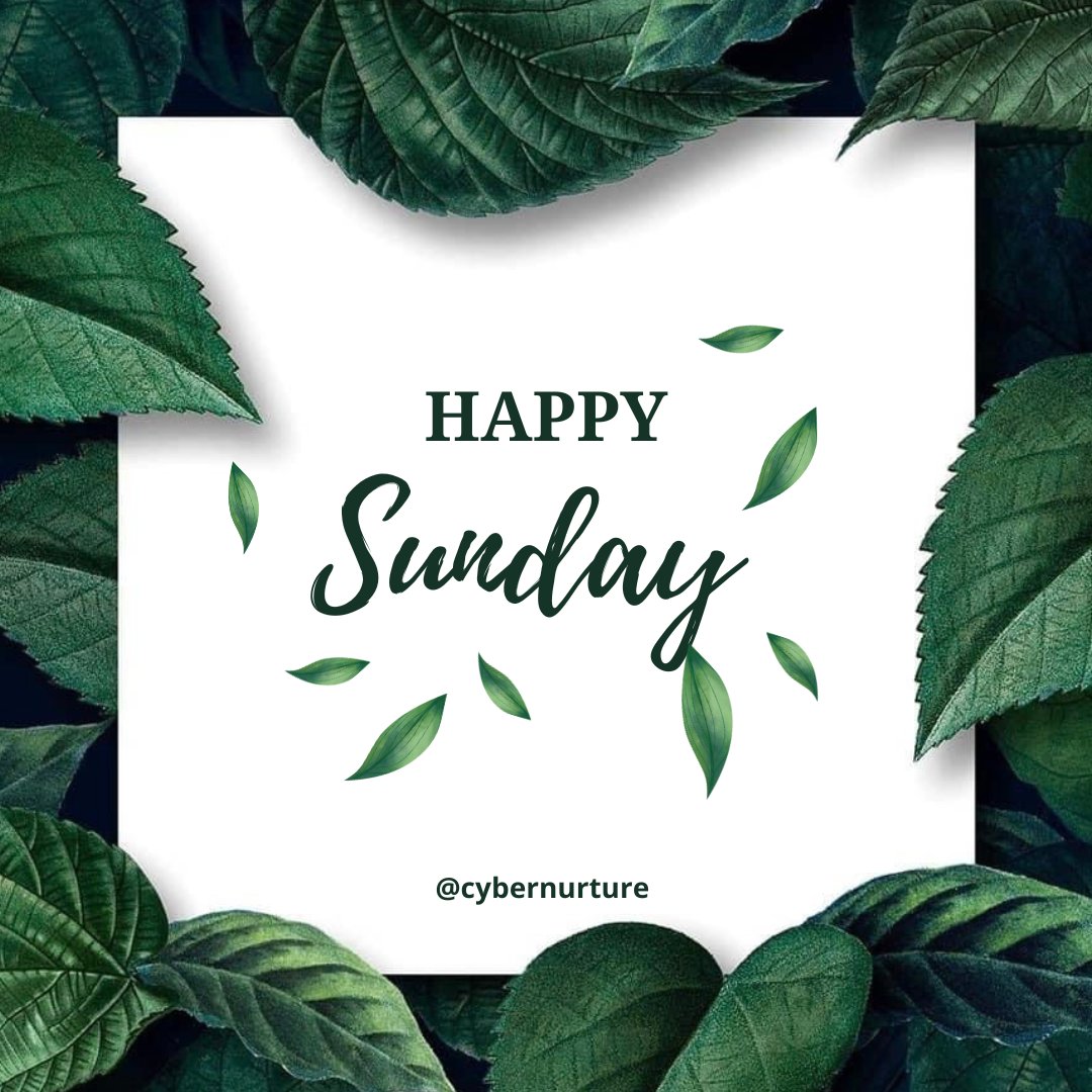 cybernurture's tweet photo. Happy Sunday techies 🕊️ https://t.co/27M54uQEnR