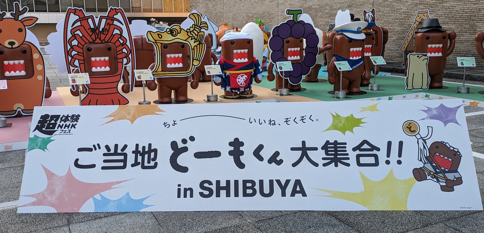 ご当地どーもくん　ストラップ　NHK 11個 どーもくん・うさじい・コウモリのしのぶさんもりおくん NHK