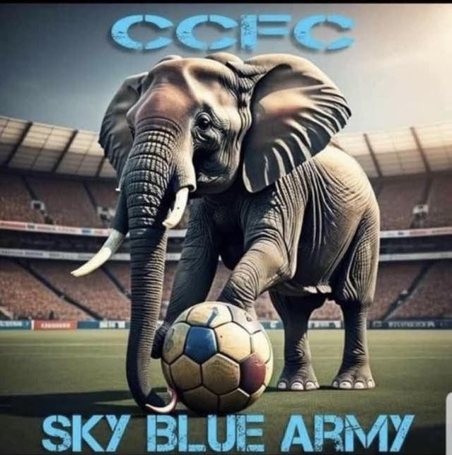 How are the heads this morning #skybluearmy #pusb #ccfc