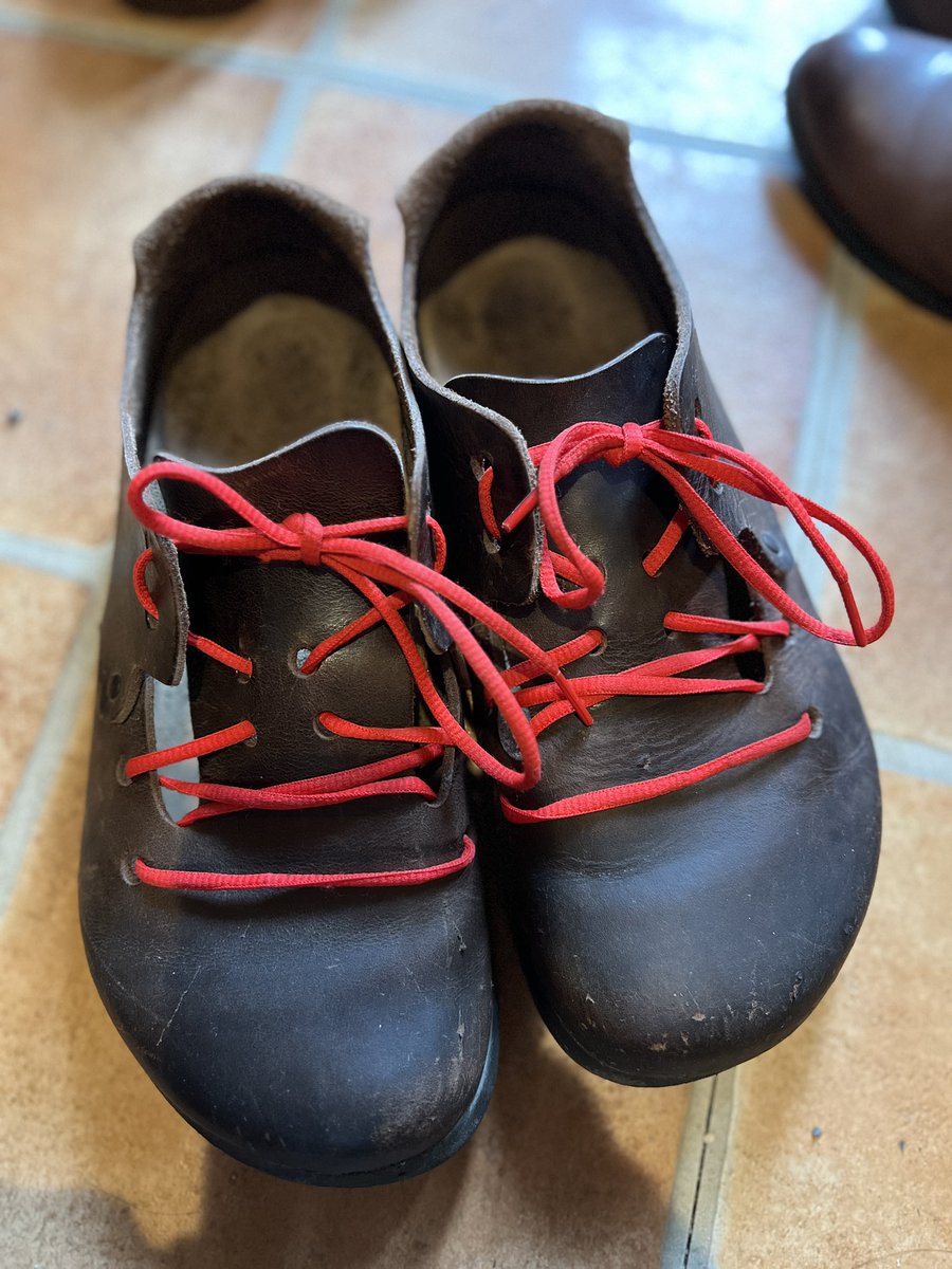 尾道のコロ tweet media