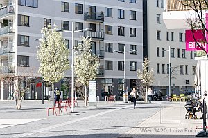 Fabian Topfstedt tweet media