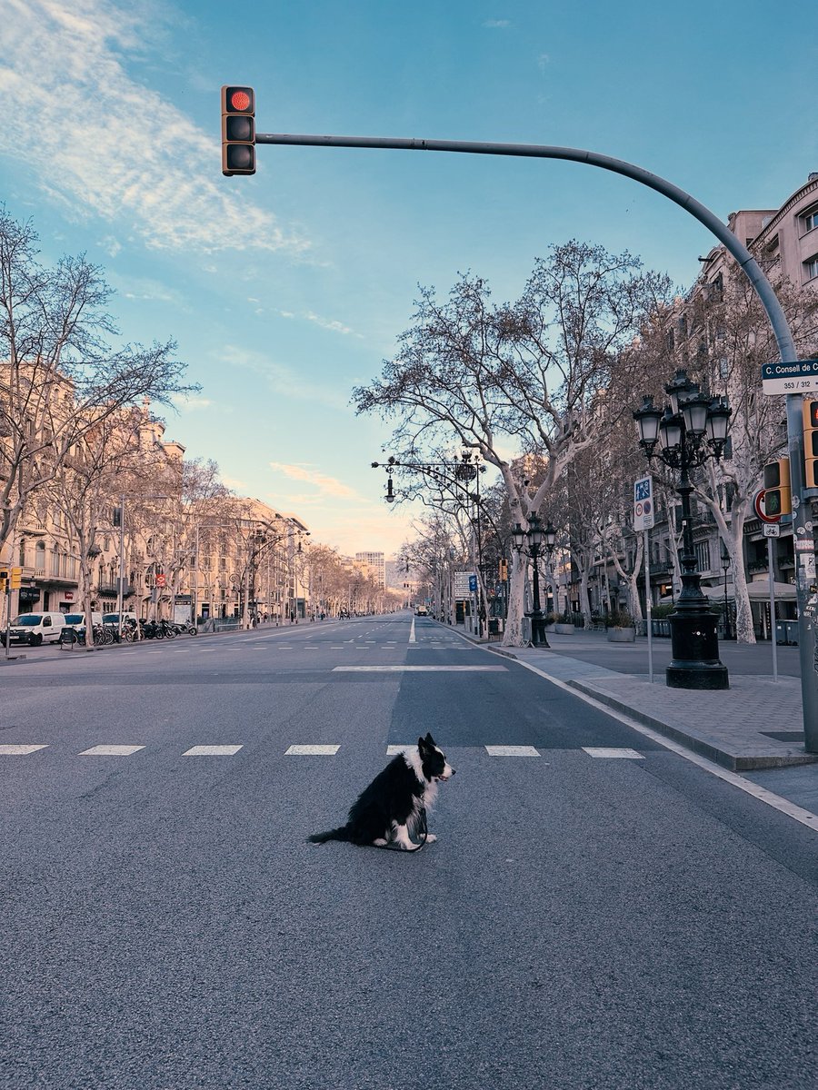 Paradas intermitentes en paseos espaciados… 🚦
#AbuelitosElegantes