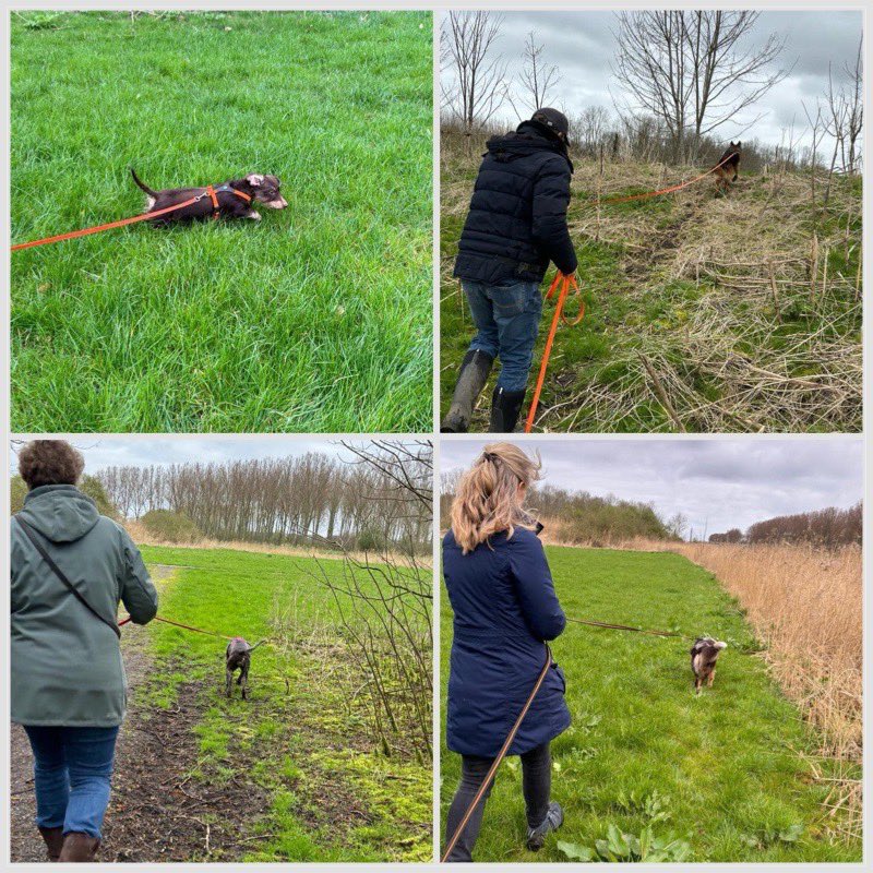 instagram.com/p/C4ndKAGoICS/…