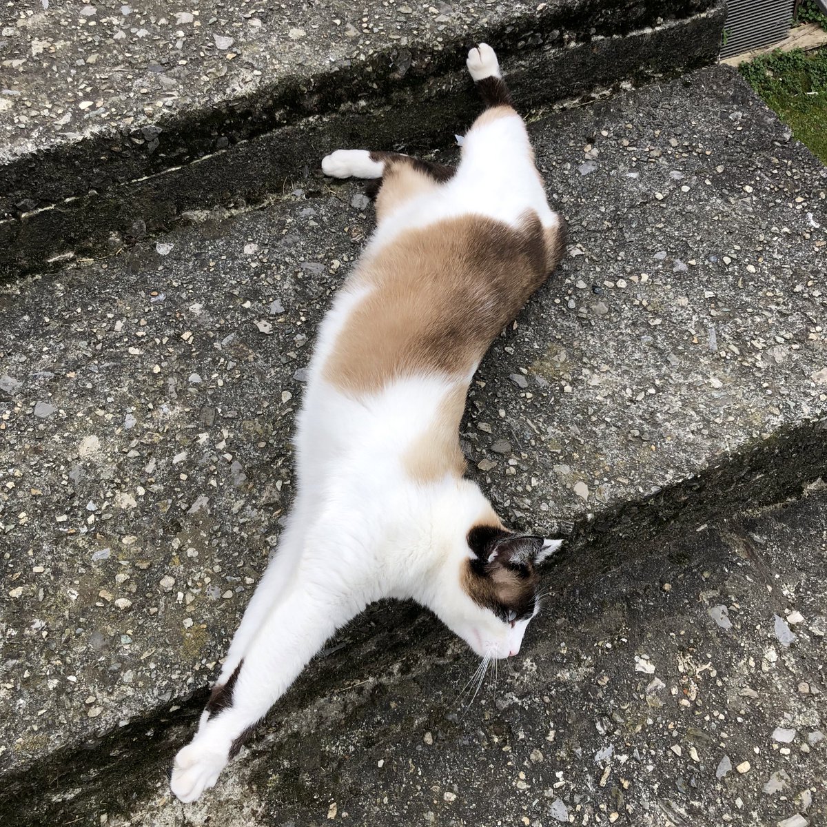 เพิ่งตื่น เมื่อคืนนอนนอกบ้าน