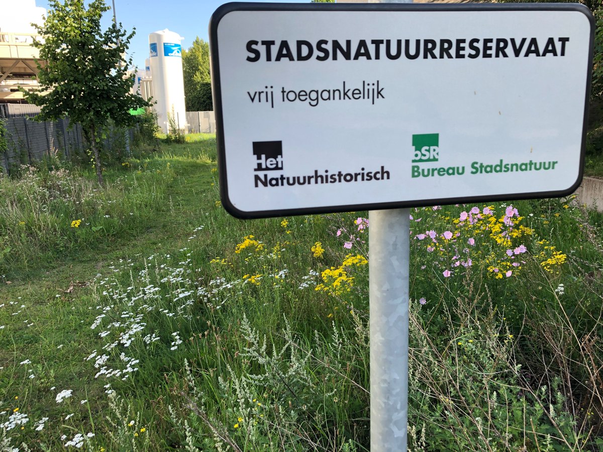 VACATURE BOTANISCH ECOLOOG | Ben jij een ecoloog die alles weet van planten en groenbeheer? Wil je werken voor en met uiteenlopende opdrachtgevers in de Randstad, in het spanningsveld tussen natuur en stad of industrie? Lees dan vooral verder op: bureaustadsnatuur.nl/wie-wij-zijn/v…