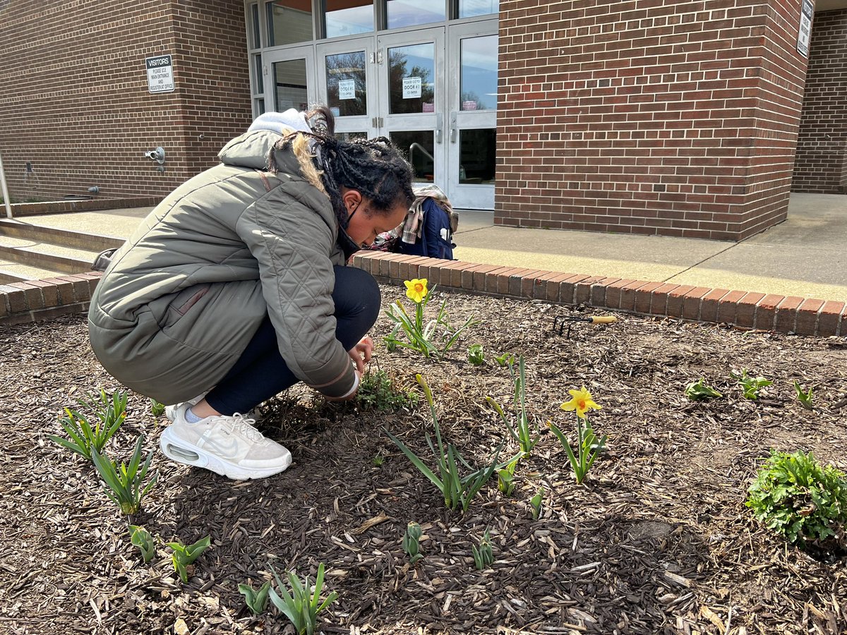 Hayfield Gardening Club tweet media