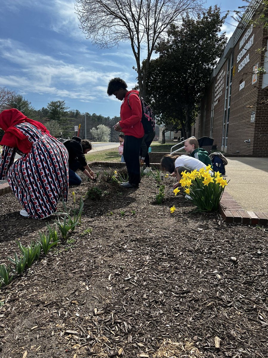 Hayfield Gardening Club tweet media