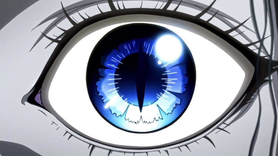 SpotHxH's tweet photo. Os olhos de Hunter x Hunter são lindos demais. Não tem como. https://t.co/YIY3Fd0qtN