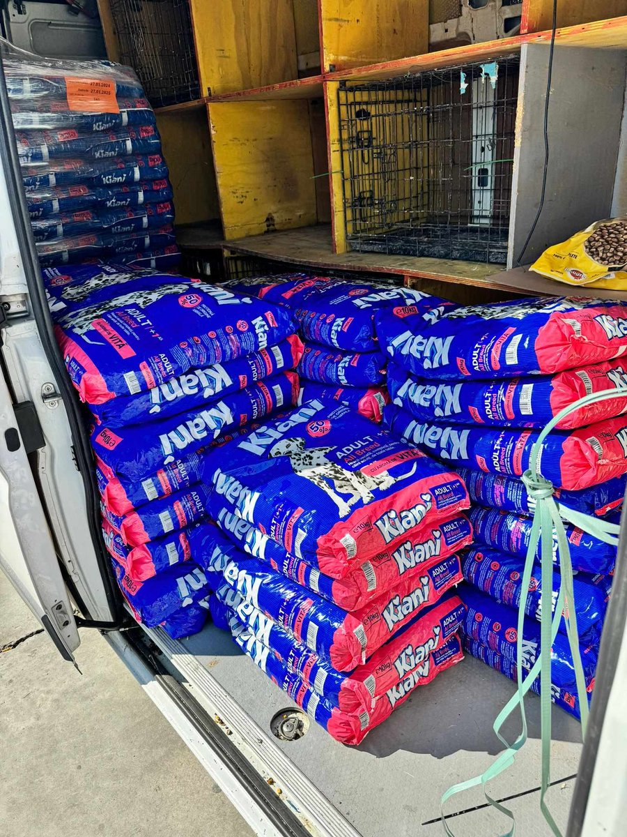 Today's food. Raised through the match funding and a little paid to debt.
Thank you.
We need the same tomorrow please.
Paypal bidtosaveastray@yahoo.com