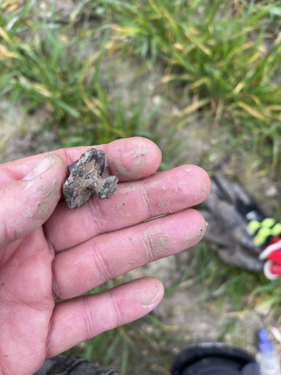 5 secs to guess what this object is before you hit the link 
youtube.com/shorts/TUpXoWd…