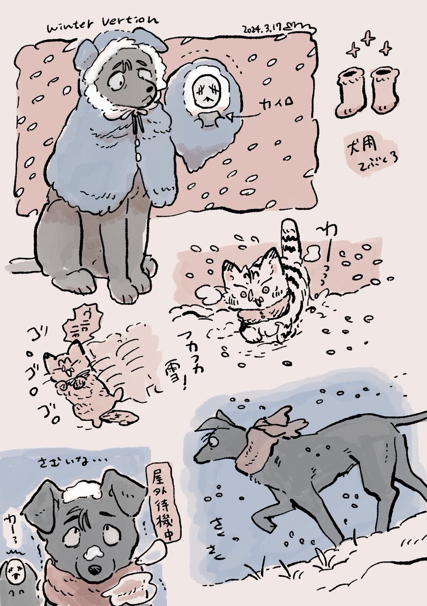 雪国の🌻犬 