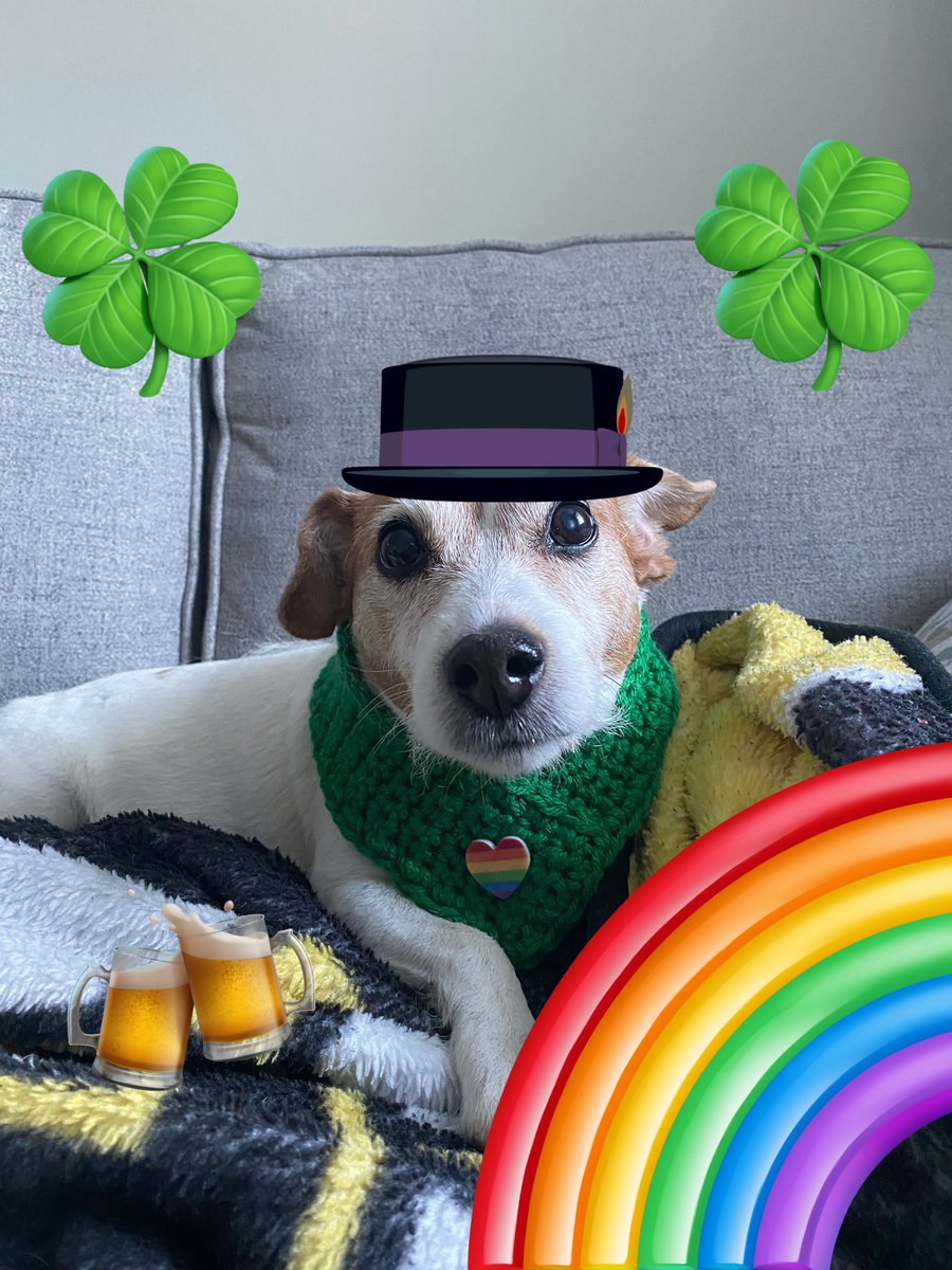 DaisyMaeJack's tweet image. May da luck o’da Irish be with you today and every day! 🐾💚🍀 #StPatricksDay2024 #shenanigans #malarkey #dogsoftwitter #dogs #Irishdog #IrishPride #dogsofX
