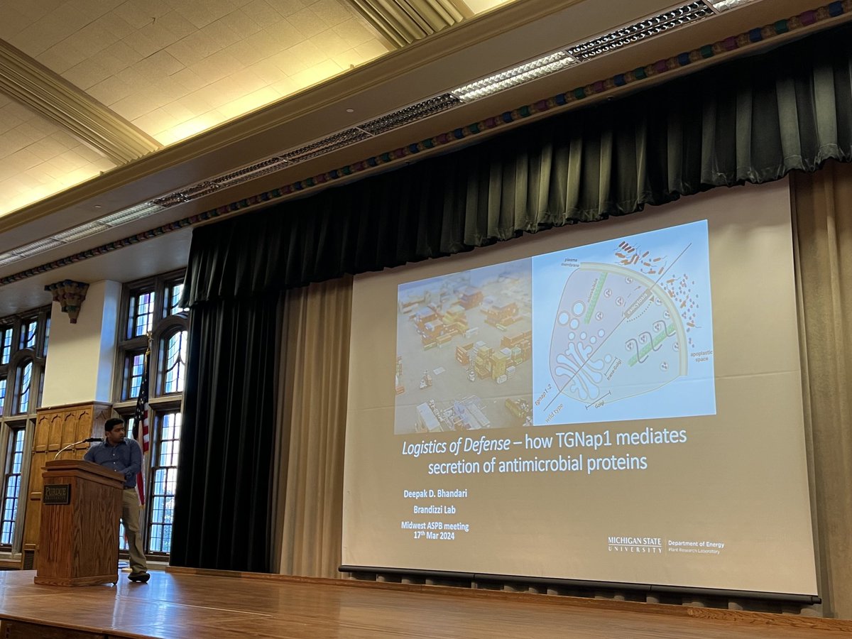Purdue Center for Plant Biology (@purduecpb) on Twitter photo Next up is Dr. Deepak Bhandari from <a href="/michiganstateu/">MSU</a> #MWASPB2024 <a href="/ASPB/">ASPB</a> Next up is Dr. Deepak Bhandari from <a href="/michiganstateu/">MSU</a> #MWASPB2024 <a href="/ASPB/">ASPB</a>