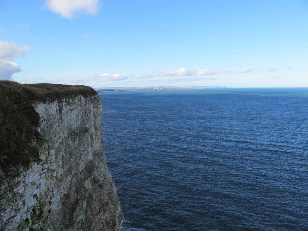SandraDanby's tweet image. Bempton cliffs #steep #seaside #Yorkshire #SilentSunday #travelling #lovetotravel #mySundayphoto