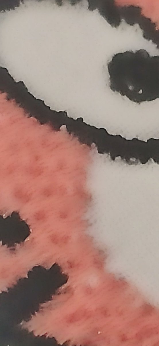 Quina màquina el <a href="/FabRIC2021/">FabRIC</a> amb la màquina de cosir de @Puntmultimedia Com hauria canviat el conte si la bella durment hagues cosit amb aquesta tecnologia! El futur creatiu que ens espera! #ScratchEdMeetup BCN <a href="/oreoxou/">Oreo</a>