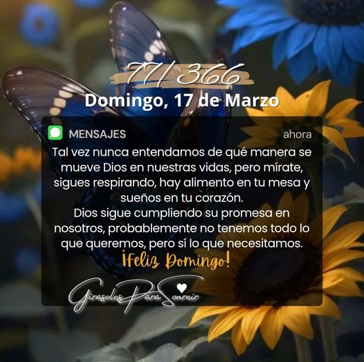 andreinapalmare's tweet photo. Bendecido Domingo! 💛💛🌻🌻🌿🌿 https://t.co/A4ctSj6fQn