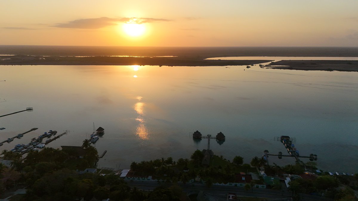 Mara Lezama tweet media