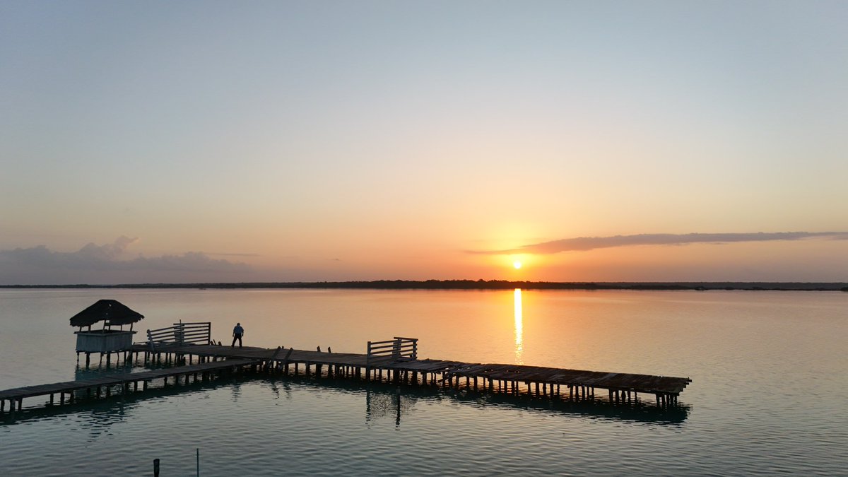 Mara Lezama tweet media