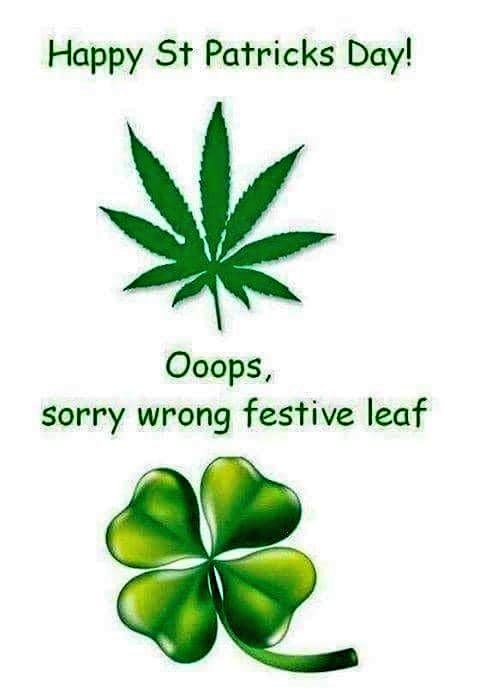 Happy St. Patty's Day! 🍀😂💚