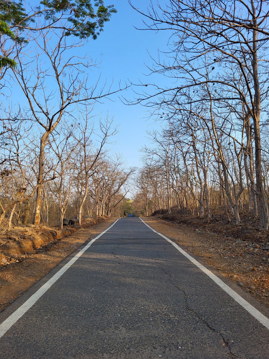 One of the best Roads of Mumbai .... at SG National Park

@baxirahul #photograghy @MSgnp @sgnp