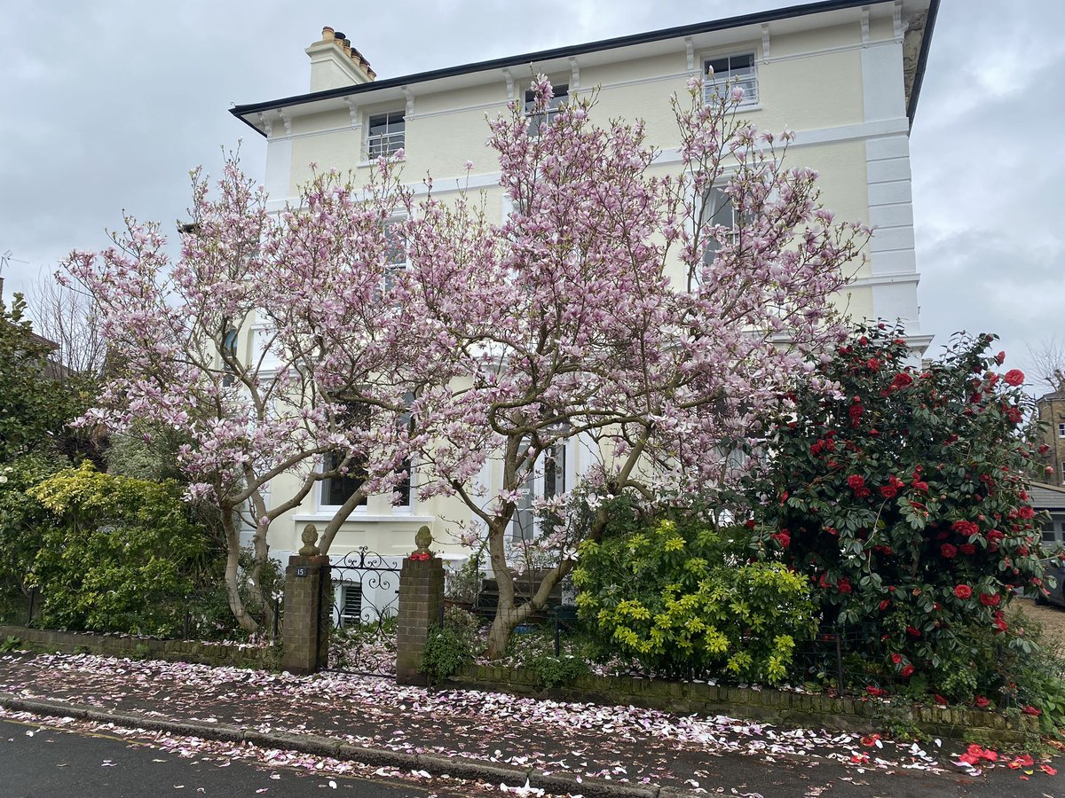 andy_bms's tweet photo. Spring…. https://t.co/ckpixydSZK