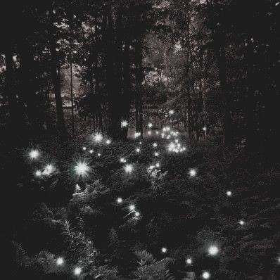 OpaqueProwess's tweet image. That is love, son of thorns. We welcome its cruelest blows and when we bleed from them, we whisper our thanks.

TMI | TSC | RP21+ | Manipulative | Majestic | Beautiful | Capable of casting powerful glamours and enchantments | Dark/mature content | SLs/banter