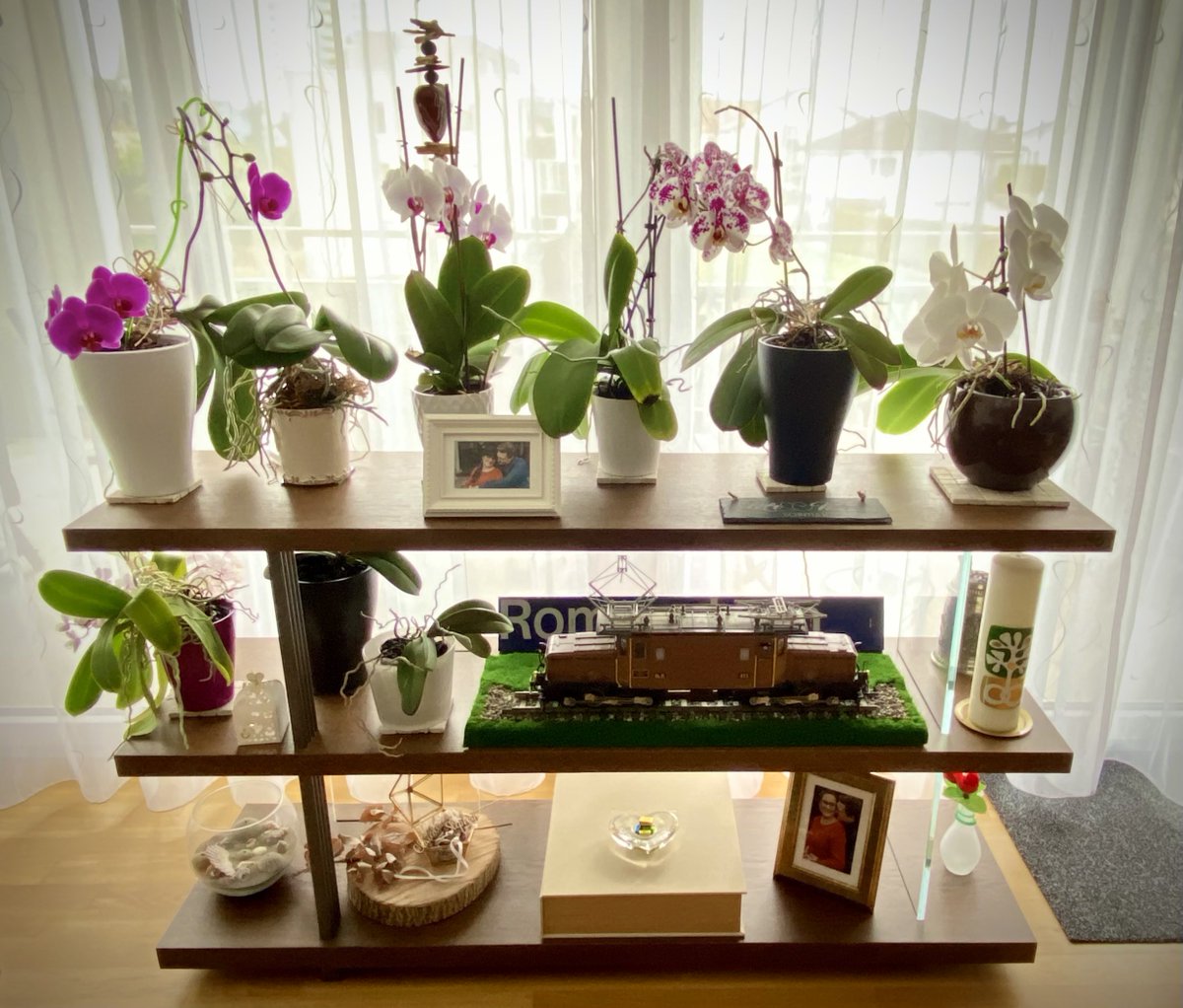 𝕤𝕥𝕖𝕤𝕔𝕙𝕟𝕪 tweet media