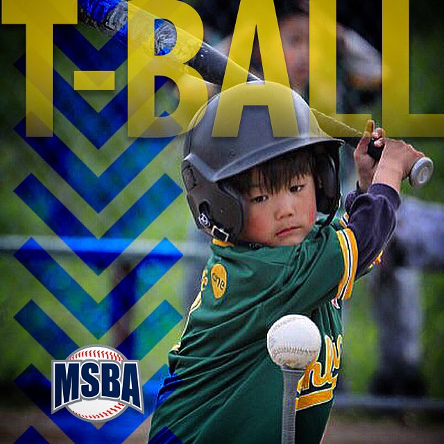 MSBA Baseball tweet media