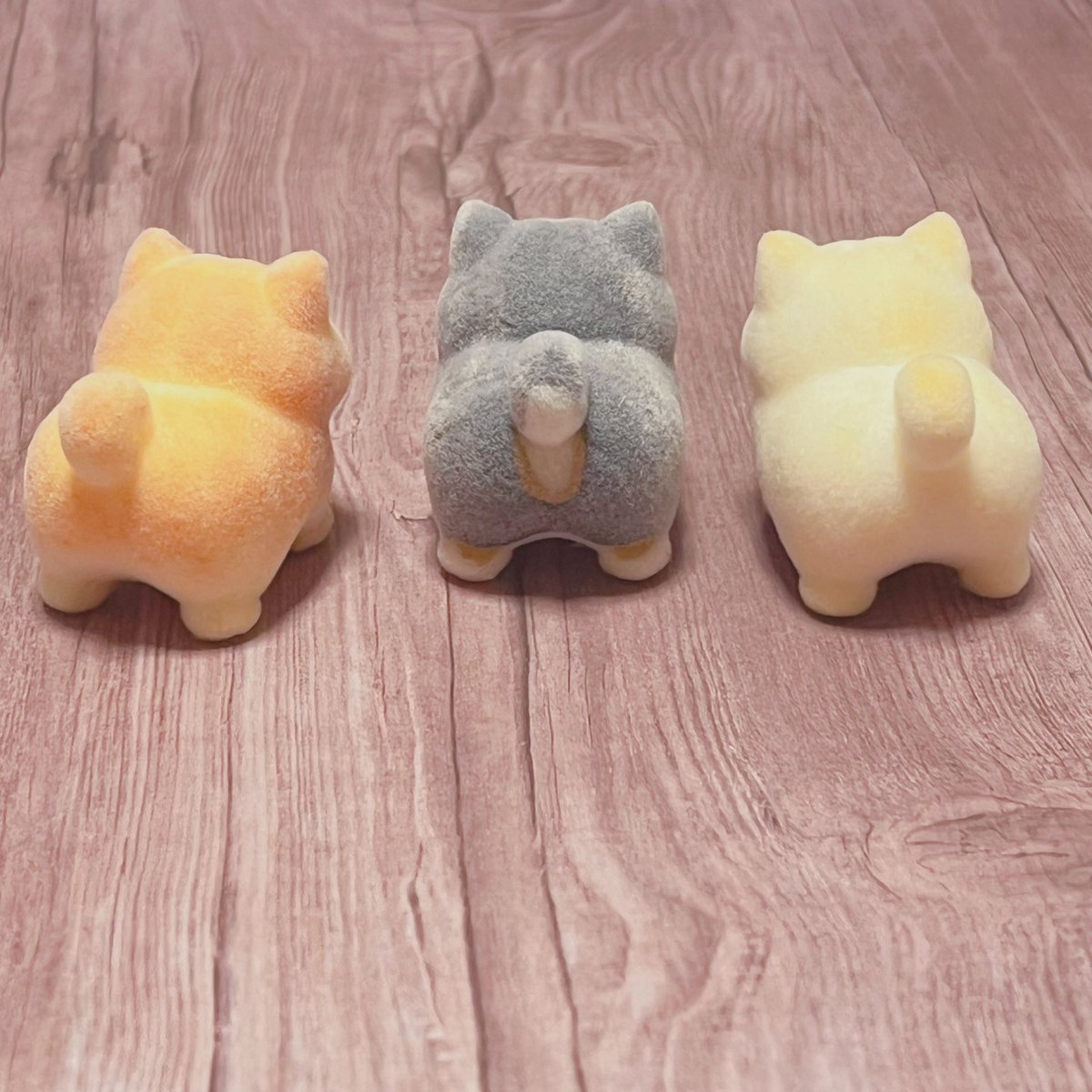 ushihito's tweet photo. 真ん中は、新入りの黒柴くんです https://t.co/2HSZU5Sr3W