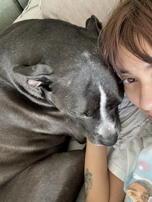 sorry i can&rsquo;t get out of bed https://t.co/SQzkvosdJ2