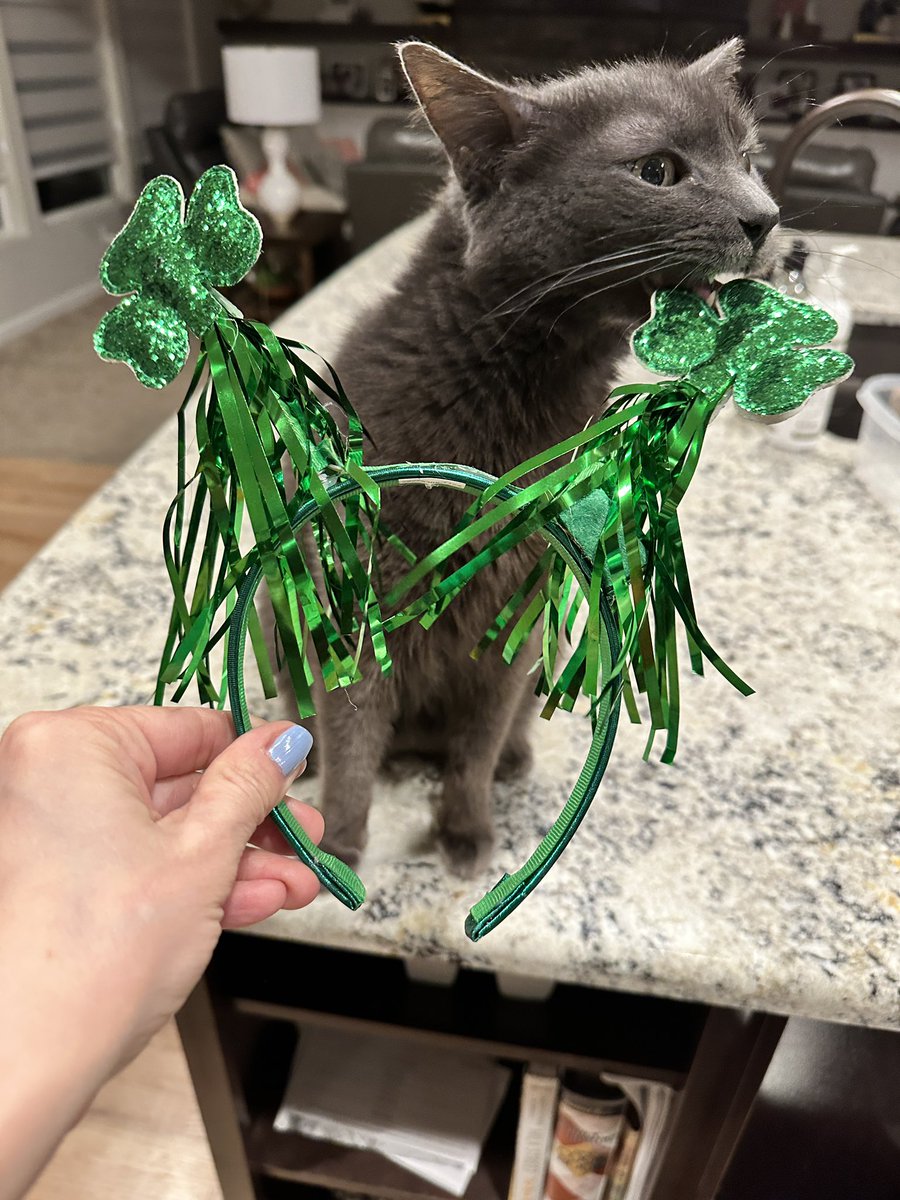 Don’t forget your daily dose of shamrock today. ☘️