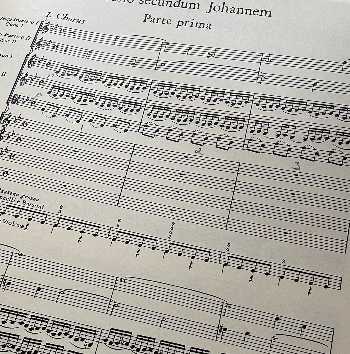 Exultate Singers tweet media