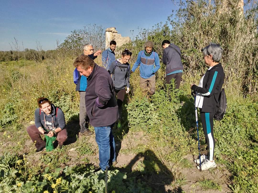 asedeca's tweet photo. Reivindicamos la continuidad de vías pecuarias que la A-92 cortó hace más de 35 años. La Asociación Ecologista Jaedilla-Ecologistas en Acción de Arahal ha celebrado el IV Día de las Vías Pecuarias, convocado por Plataforma Ibérica por los Caminos Públicos
https://t.co/3x08EbXDbU https://t.co/n32fmIa07z