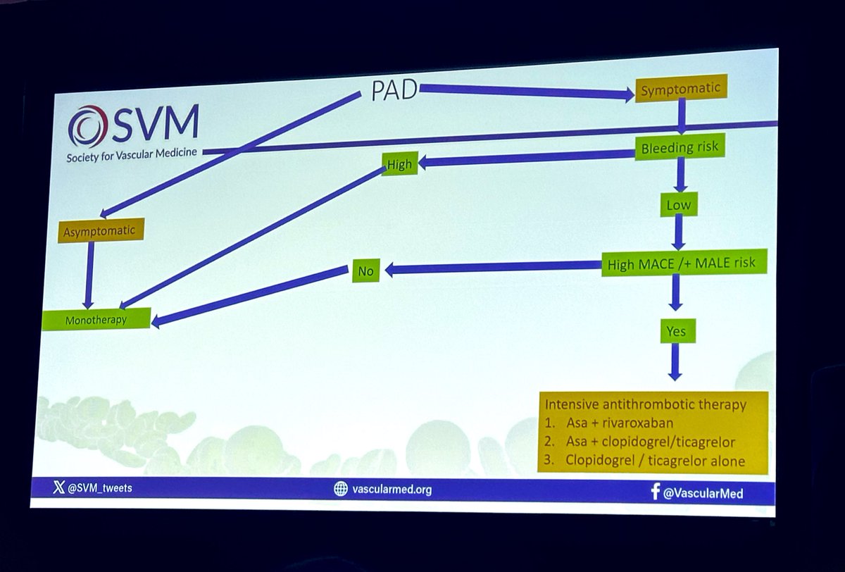 SVM_tweets's tweet image. Medical management for #riskfactor modification is crucial in #PAD!#Revascularization may have a role in symptomatic pts &amp;amp; to reduce tissue loss in CLTI

#SaveLimbs #SaveLives @PVDCouncil 
@adityasharmamd @PiedmontHealth @DrDrewKleinPHI 
@wellsbryanj @AaronAdayMD @heatherlgornik