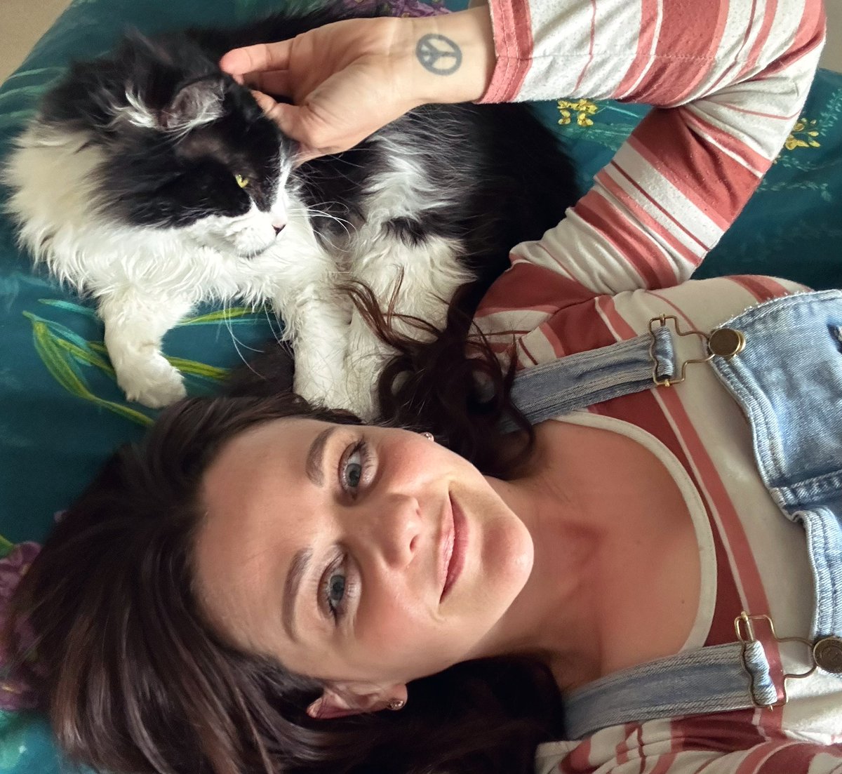 HollyMichaelUK's tweet photo. Learning lines with the help of this little cutie 🥰 
…don’t remember there being quite so much purring in the first read-through but he’s a pro so I’ll let him improvise...!

#sundayvibes #learninglines #voiceactor https://t.co/xeQOmTLoEi