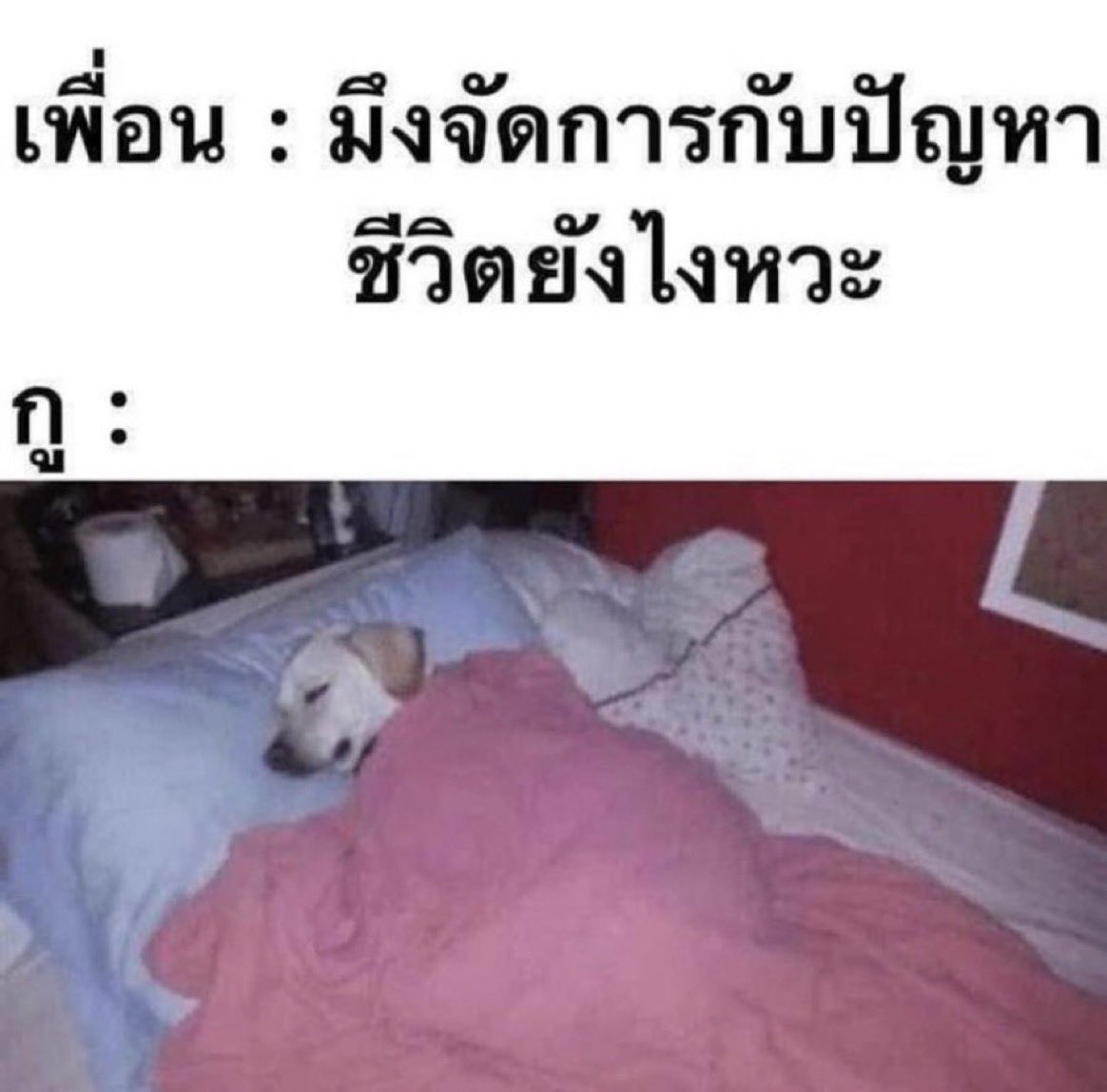psmark1821's tweet photo. จริงมากกก ก็นอนไปเลยสิคะ5555555555555555 https://t.co/MeJnor3vh6