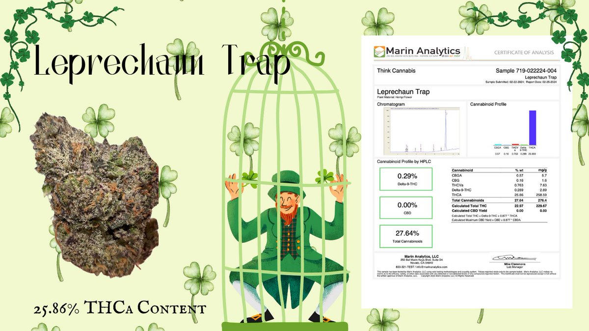 wethinkcanna's tweet photo. This year, you'll be the one to catch those little buggers green-handed and collect that pot of gold!

Product: https://t.co/dkvZDDQxsR

#stpatricksday #hemp #leprechaun #leprechauntrap #cannabis #green #THCa #THCaflower #think #hybrid https://t.co/jl5DypYh9j