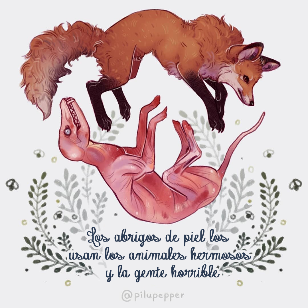 VeganFTAEspanol's tweet photo. ¡Ningún animal debería sufrir y morir por la moda! 🚫🦊
📷 @pilupepper
#modavegana #zorros #pieles #cueronatural #furfree https://t.co/lQoZkbfIDR
