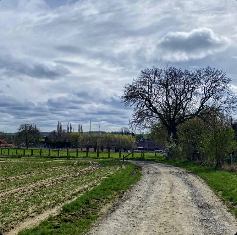 EMeirsch's tweet photo. #vrtweer #hamme #merchtem #mountainbike 12u58 https://t.co/jz6dRJRVlZ