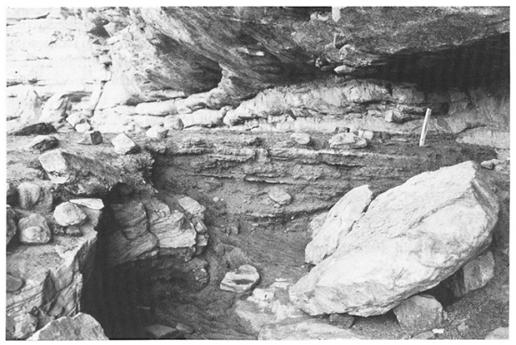 Theoriginalman0's tweet photo. "Seven burials found in various levels testify that this shelter (uan muhuggiag) was used as both a dwelling and a burial ground. The oldest level, contained a child's skeleton, carefully placed on a funeral litter on his left side in a crouched position. https://t.co/jQj56QxCHy https://t.co/GhRVSULAxM