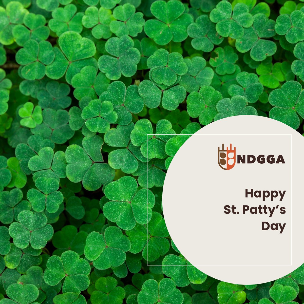 NDGrainGrowers's tweet photo. Happy St. Patrick's Day! Don't forget - wear green today! It'll help prevent you from getting pinched!

#ndgraingrowers https://t.co/0cNkg6hmBF