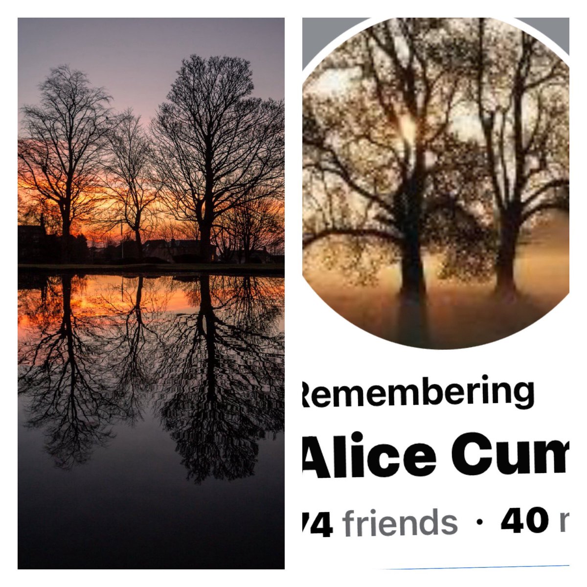 @DaveZ_uk I was looking thru your pictures-which are all so stunning and peaceful -  I lost my breath in light of the subject of this random connection -because the picture of  the trees at sunset in your village is so incredibly similar to my the fb profile pic my mom had for years 💜 🙏🏼