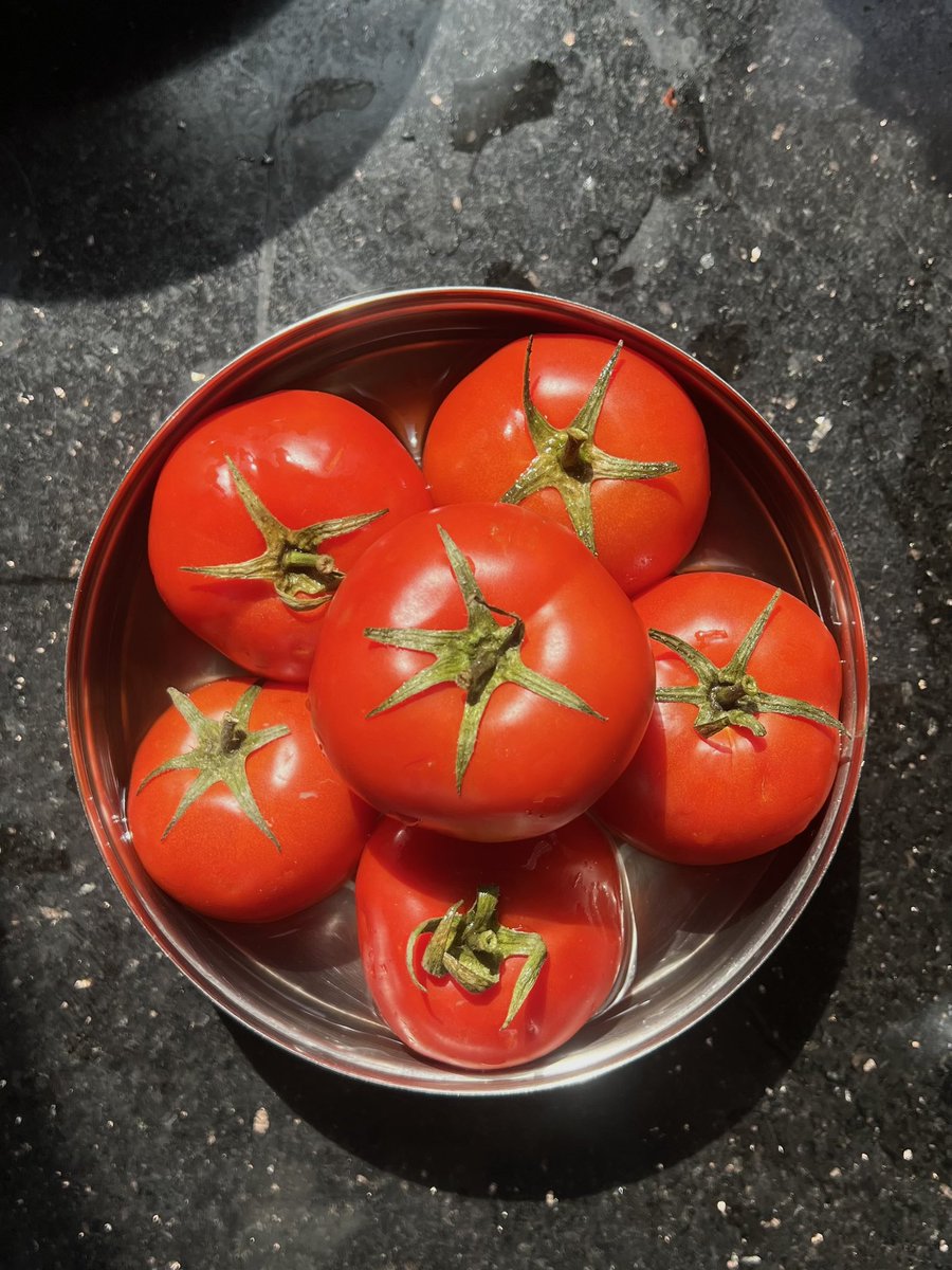 Tanvi Bhushan tweet media