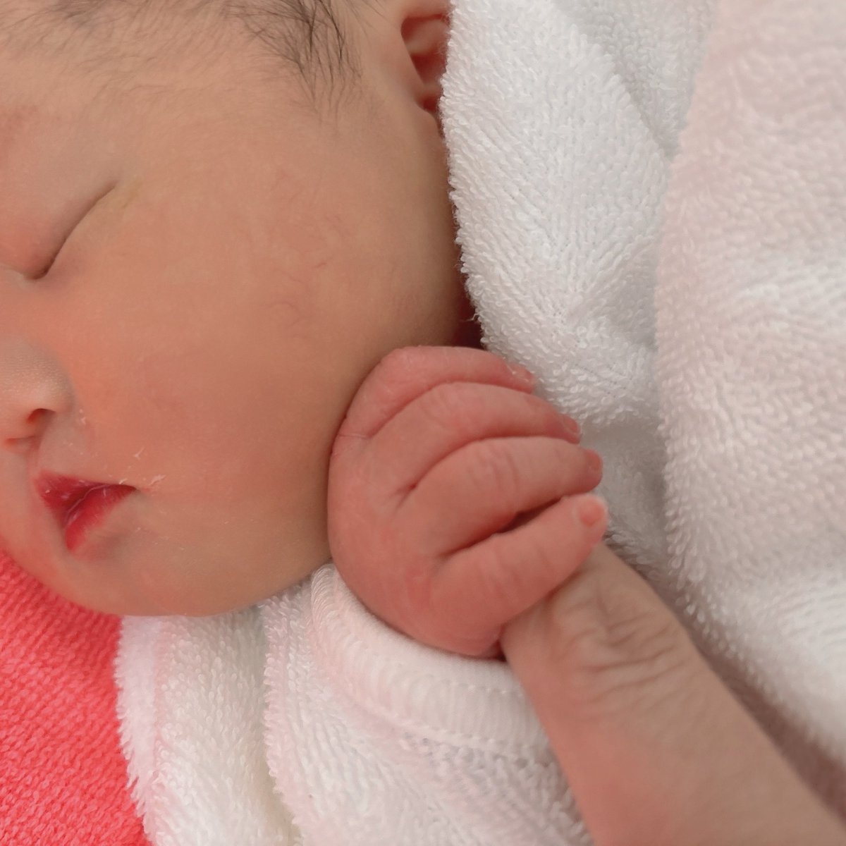 お久しぶりです☺️
ご報告です🌸

このたび3月13日に第二子となる女の子を出産いたしました🥰

どれだけ踊っても、どれだけ息子に踏まれても負けずに元気に産まれてきてくれたとっても強い娘。
産まれてきてくれてありがとう🥹💕

なかじー校長、無事にこの世界に到着しましたよ！☺️✨