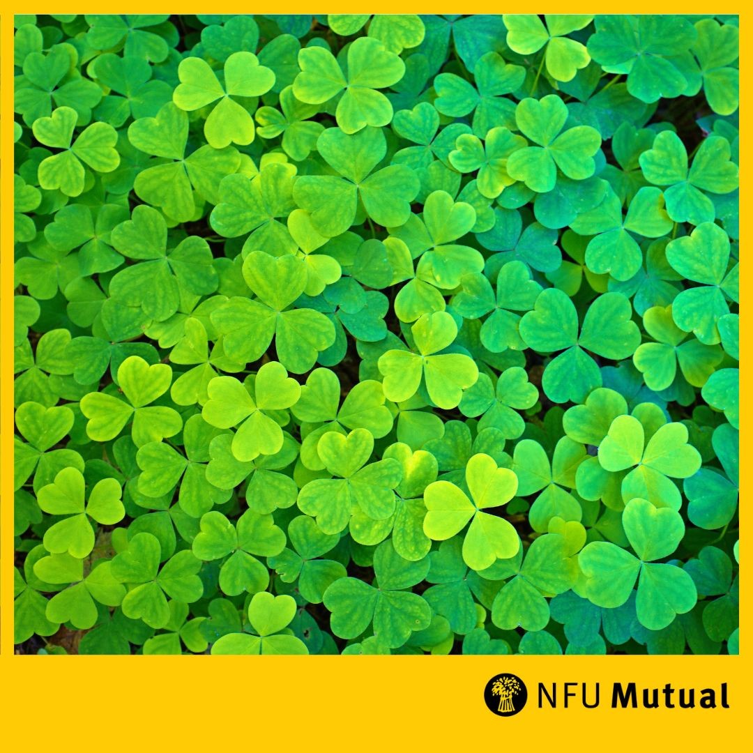 Happy St. Patricks Day from all at NFU Mutual Llantrisant 🍀 'May your troubles be less and your blessings be more and nothing but happiness come through your door'