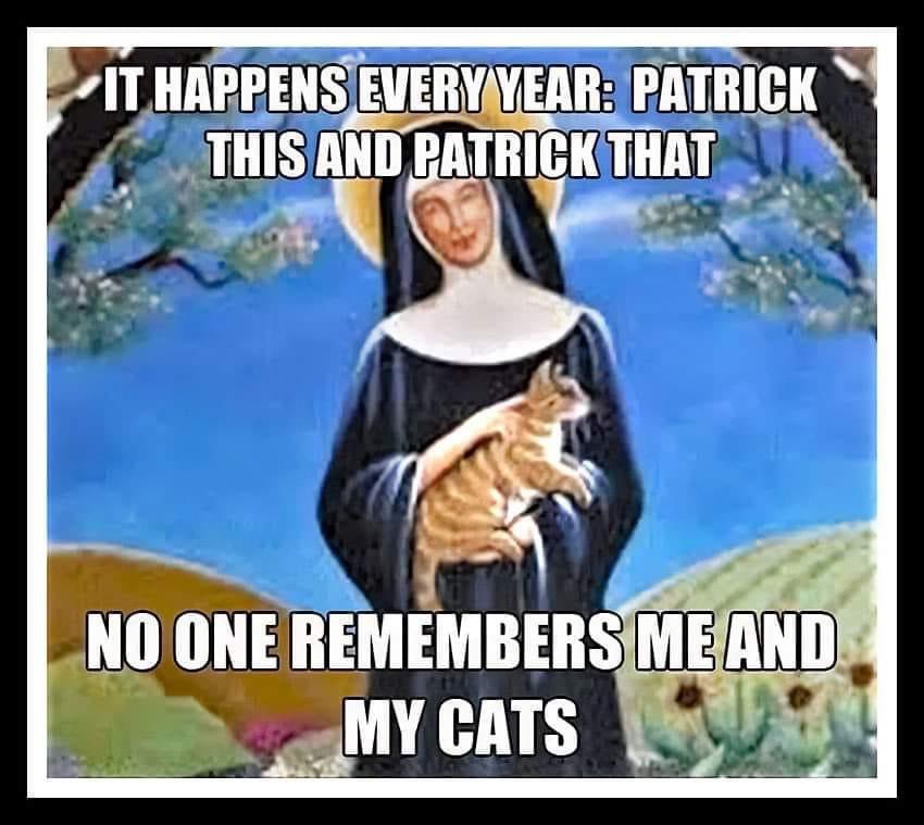Forget Patrick: March 17 is also St Gertrude’s Day, commemorating the patron saint of cats theconversation.com/forget-patrick…
