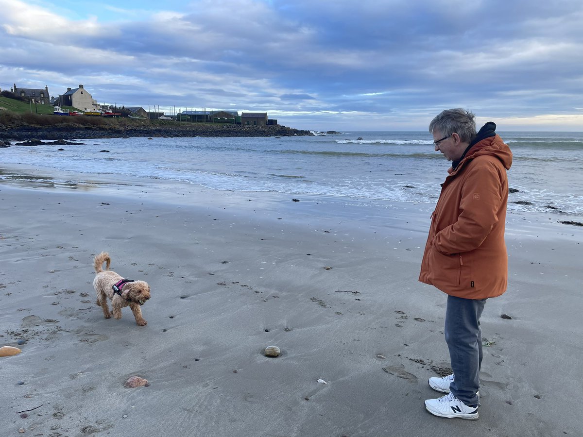 Early beach inspection for Ripley and @sociabledog . After 4 named storms (and a few that preferred to remain anonymous), the beach has been covered in pebbles for months. But thanks to sterling efforts by a local digger crew, sand is restored. Top work!