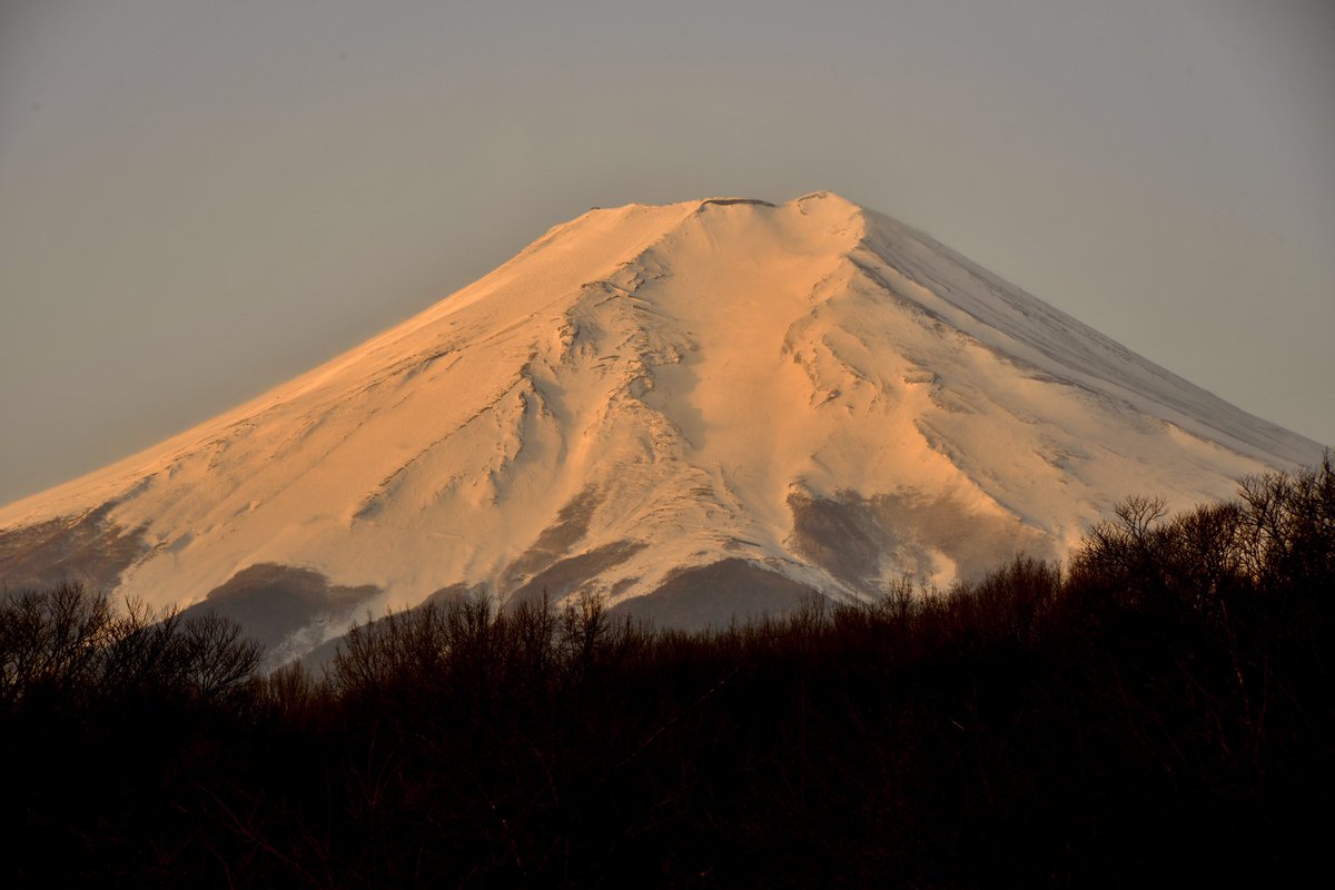 heedeath13th's tweet photo. 週末の富士山…
#富士山　#富士散策公園　#河口湖 https://t.co/5aLgLOFPjP
